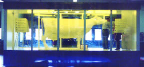 view of butter booth with completed cow sculpture