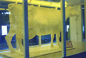Large butter sculpture of a cow, "Bessie"