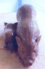 1 view of chocolate pigs at Monmouth State Fair
