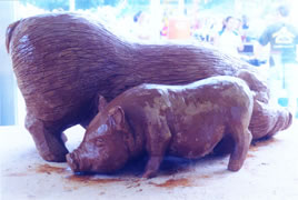 2nd view of chocolate pigs at Monmouth State Fair